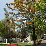Διαμέρισμα Pretty Views Lisboa