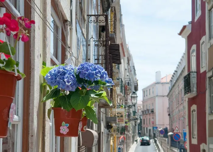 شقة Pretty Views *