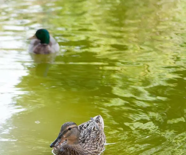 Apartment Pretty Views *