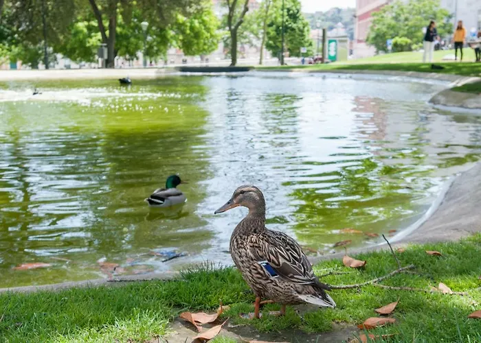 Pretty Views * Lissabon