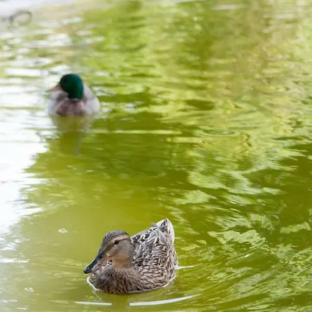 Apartmán Pretty Views *