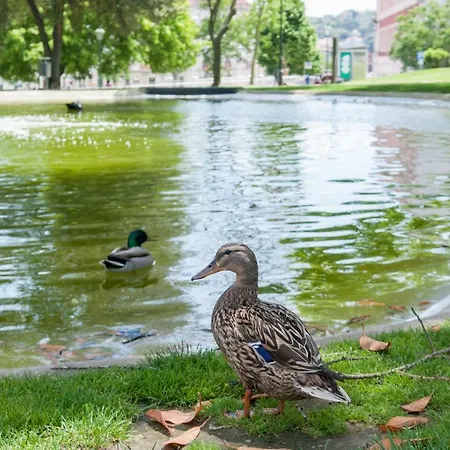 Pretty Views * Lissabon